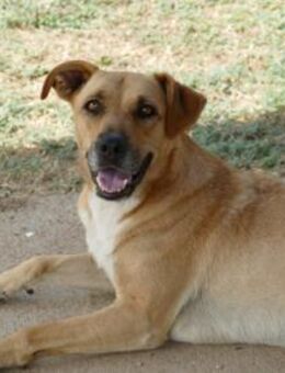 Elise möchte an Ihrem Leben teilhaben - Neuss