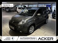 Fiat Panda, 1.0 GSE Hybrid Tech Style-P, Jahr 2024 - Bad Berleburg