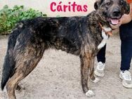 Cáritas lebensfroh & herzlich 07/22 ESP - Ruppertsecken