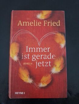 Immer ist gerade jetzt. Roman von Amelie Fried (Gebunden) - Essen