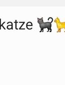 Suche Babykatze in 47269