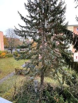 IMMOBERLIN.DE - Sehr angenehme Wohnung mit Sonnenloggia in herrlicher Lage - Berlin