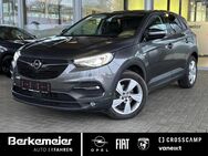 Opel Grandland X, 1.5 D 360Kamera Allwetter, Jahr 2019 - Greven (Nordrhein-Westfalen)