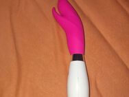 Verschiede Sex toys - Aschersleben