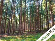 Wald- und Unlandflächen bei Rodewisch zu verkaufen - Rodewisch