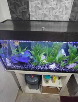 Aquarium 200l komplett - Roßleben