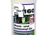 HMK R160 Schimmel-EX -500ml Sprühflasche- 15,64 € (1 l = 31,28 €) - Aachen