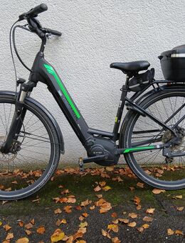 E-Trecking bikes zu verkaufen - Landau (Pfalz)