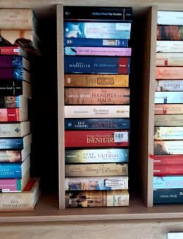 Viele Bücher Thriller, Romane ect. - Zeulenroda-Triebes