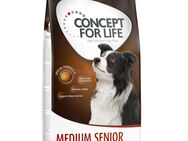 12 kg Concept for Life zum Sonderpreis! - Medium Senior