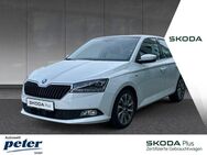 Skoda Fabia, CLEVER SITZ, Jahr 2021 - Nordhausen