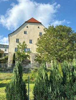 großzügige helle 2 u. 4 Zi. Altbau-Wohnung am Schloss Fürstenstein im Herzen des Bayerischen Waldes - Fürstenstein