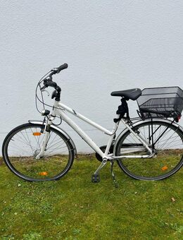 Gebrauchtes Damenfahrrad zu verkaufen - Gräfelfing