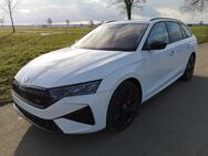 Skoda Octavia, 2.0 TSI Kombi Area GV5, Jahr 2024 - Achern