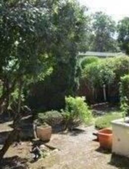 ***Schöner Bungalow sucht neuen Eigentümer*** - Ludwigshafen (Rhein)