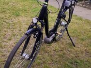 Kreidler E- Bike Eco 6 vitality - Preetz (Schleswig-Holstein)