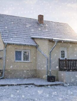 Freistehendes Einfamilienhaus mit großem Grundstück in Möckern OT Tryppehna - Möckern (Sachsen-Anhalt)