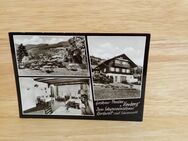 Ansichtskarte-AK-380-Gurtweil/Neuberg. Pension NEUBERG. - Nörvenich