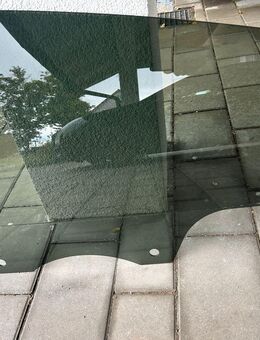 Tesla Y - Scheibe hinten links - 166650900A - Lehrberg