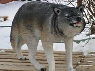 Dekofigur Wolf stehend lebensgroß Deko Gartendekofigur - Hergisdorf