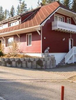 EFH mit Einliegerwohnung; Viel Platz in See- und Waldnähe, ideal auch für (Ferien-) Vermietung - Schluchsee