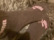 Puma Sport Socken getragen so lange du willst - Köln