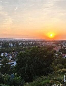 Traumblick über Dresden und die Elbe von Ihrem Balkon! - Dresden