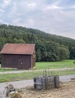 Gemütliche Vierzimmerwohnung mit viel Platz Terrasse und Garten - Haiterbach