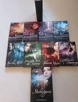 Vampir Mystery Bücher nur im Komplettpaket - Bochum