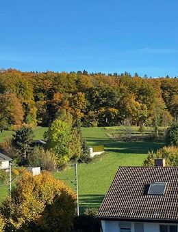 Traumhafte Dachterrassenwohnung mit Blick in die Berge - Gilching