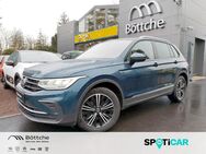 VW Tiguan, 2.0 TDI Active, Jahr 2023 - Potsdam