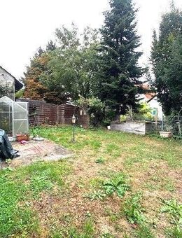 Zimtstern - Mörfelden-Walldorf