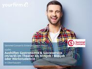 Aushilfen Gastronomie & Gästeservice (m/w/d) im Theater als Minijob / Midijob oder Werkstudent:in - Oberhausen (Rheinland-Pfalz)
