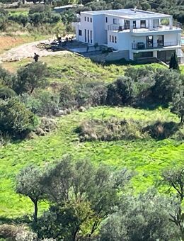 Ferienhaus Villa am Meer in Griechenland mit Pool in Nafpaktos - Uelsen
