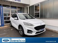 Ford Kuga, ST-Line X iACC, Jahr 2020 - Glauchau