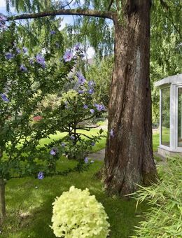 IDEAL FÜR KREATIVE KÖPFE | Bungalow mit Wintergarten, Nebengelass - Ein Traum für Handwerker - Panketal