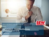 Werkstudent - Finanzbuchhaltung Deutschland (m/w/d) - Bruchsal