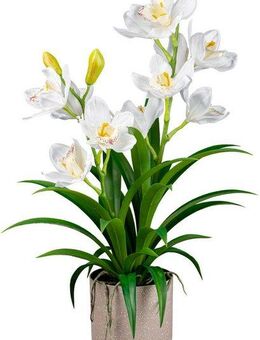 Kunstorchidee Orchidee Cymbidie Orchidee, Creativ green, Höhe 58 cm, mit traumhaft schönen Blüten