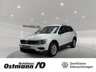 VW Tiguan, 2.0 TDI IQ DRIVE, Jahr 2019 - Melsungen