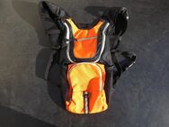 H2O Rucksack 24x50 cm Backpack orange schwarz grau 9,- - Flensburg