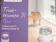 Trinkbrunnen für Katzen - Grafenrheinfeld