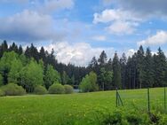 Traumlage! Rückzugsort in der Natur! - Schöneck (Vogtland)