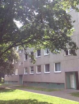 Jetzt zugreifen: 2-Zimmer-Wohnung in einer grünen Wohnlage - Kassel