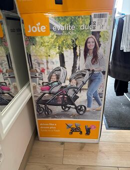 Geschwister Kinderwagen Joie evalite Duo - Wandlitz