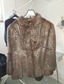 Nerzjacke (Farbe: Braun) - Harsum