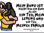 Familie sucht Zuwachs auf Pfoten - Rahden