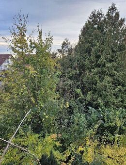 Blick ins Grüne - Sanierte, moderne 3-Zimmer Mietwohnung mit Balkon - Allensbach