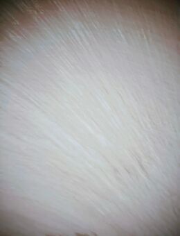 Berber Tepgo Tuaroc Maroc de luxe Berber Teppich Orient - Osnabrück