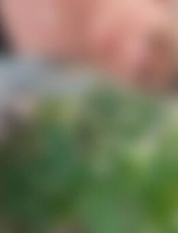 Nat*** - Bad Liebenwerda