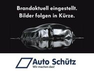 VW T6 California, 2.0 TDI 1 T Ocean, Jahr 2023 - Groß Umstadt